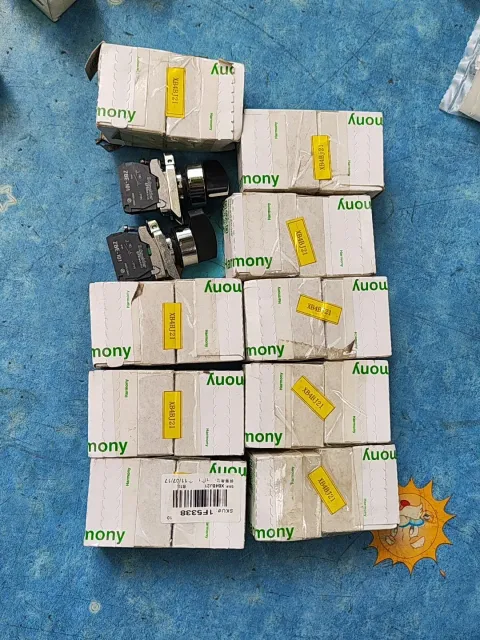 Schneider Electric XB4BJ21 Industrial Sensor product photo 1