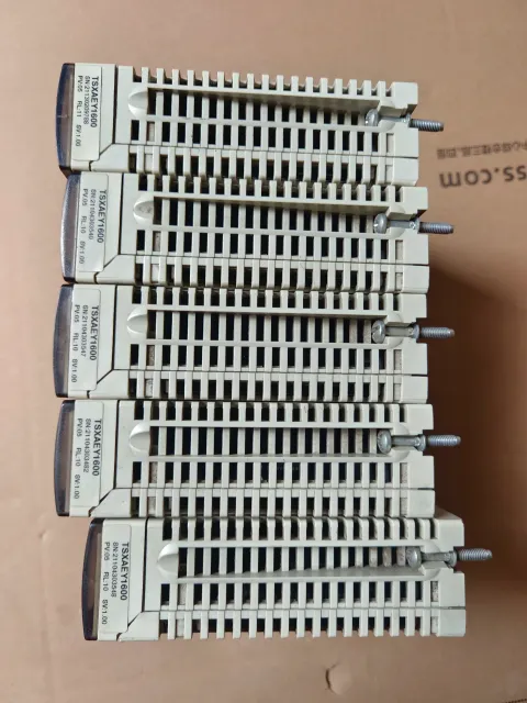 Schneider Electric TSXAEY1600 Industrial Automation Component — product photo 16 of 17