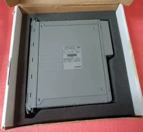 White Label ICS Triplex model-option listing: T8480 / T8311 / T8442 Industrial Automation Component product photo 1